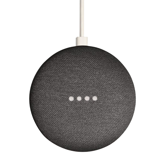 842776105417 Google Home Mini - Carbon